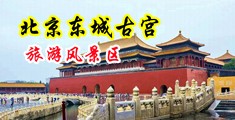 无码白嫩馒头小穴在线播放中国北京-东城古宫旅游风景区